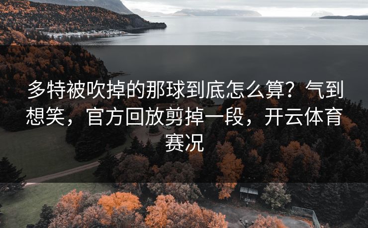 多特被吹掉的那球到底怎么算？气到想笑，官方回放剪掉一段，开云体育赛况